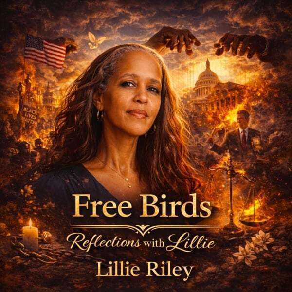 Cover art for Free Birds